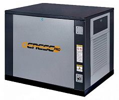 Газовый генератор Genese Pro 5000 Neva в кожухе ДизельЭнергоРесурс